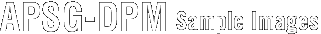 APSG-DPM Sample Images