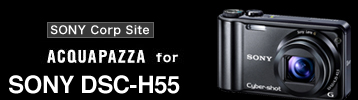 AQACQUAPAZZA for SONY DSC-HX5V Corp site