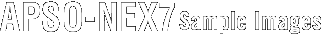 APSG-DP2 Sample Images