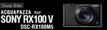 SONY RX-100V site