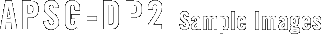 APSG-DP2 Sample Images