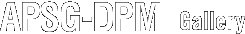 APSG-DP2 Gallery