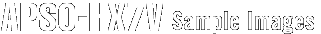 APSG-DP2 Sample Images