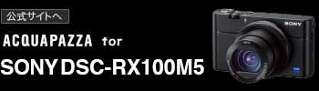 AQACQUAPAZZA for SONY RX-100M5 公式サイトへ