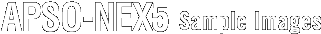 APSG-DP2 Sample Images